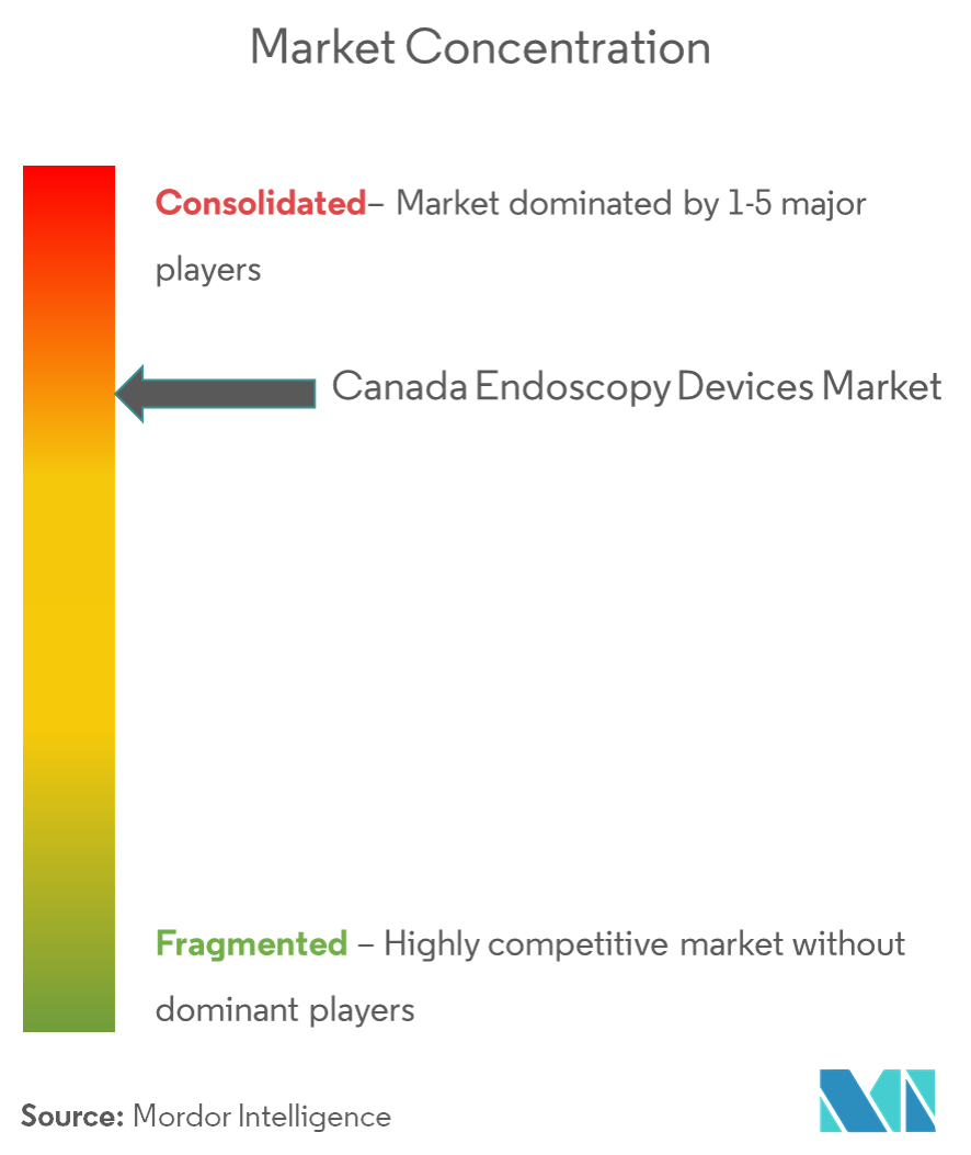 Concentração de mercado_Mercado de dispositivos de endoscopia no Canadá